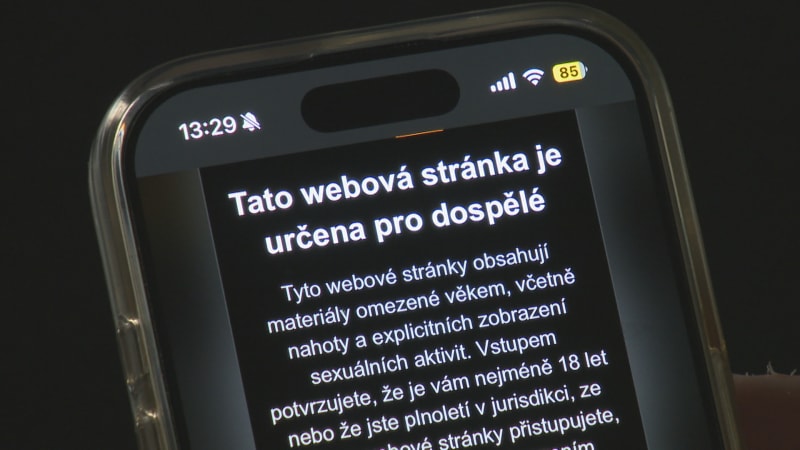 S pornem se děti setkávají už v osmi letech, často nechtěně. Je to stresující, tvrdí experti