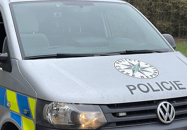 Nebezpečný muž vyskočil z okna a utekl z Bohnic. Policie prosí veřejnost o pomoc