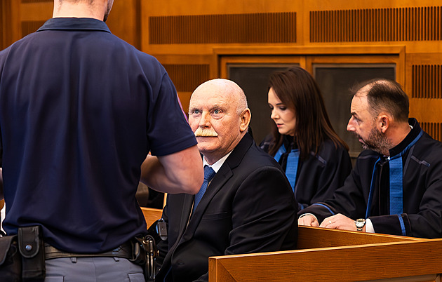 Kauza objednané vraždy spěje k závěru, žalobkyně mluví o bezcitnosti a navrhla tresty