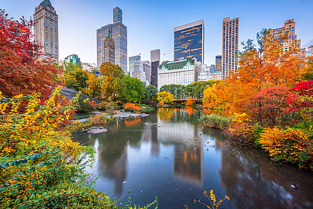 OBRAZEM: Záplava barev mezi mrakodrapy. Newyorský Central Park na podzim ohromí